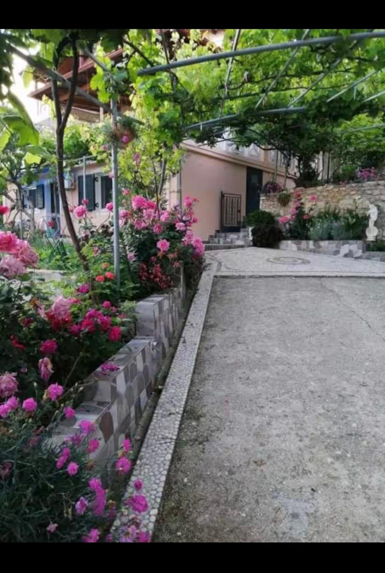 Apartment Nefeli Piqeras